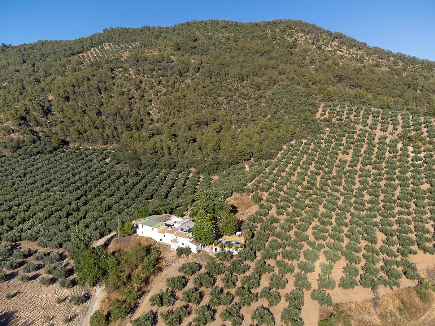 Cortijo Rural Las Nogueras Cortijada Los Chorreros